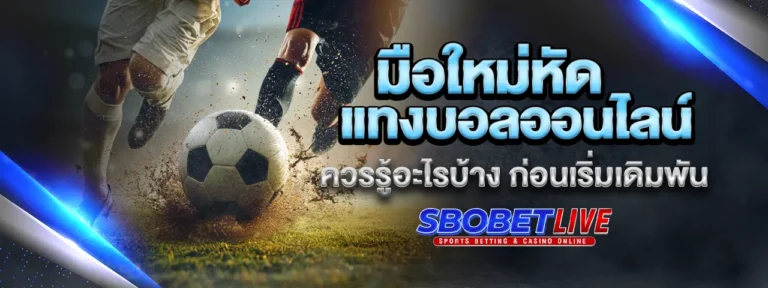 Read more about the article มือใหม่หัด แทงบอล ออนไลน์ ควรรู้อะไรบ้าง ก่อนเริ่มเดิมพัน